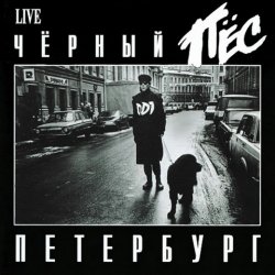 Мұқаба ДДТ - Чёрный пёс Петербург