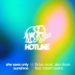 Мұқаба fa bé & mOat & Alan Dixon & Robert Owens - She Sees Only Sunshine