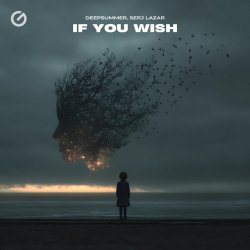 Мұқаба DeepSummer & Serj Lazar - If You Wish