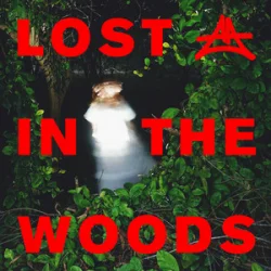 Мұқаба Elderbrook & Adriatique - Lost In The Woods