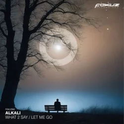 Мұқаба Alkali. - What 2 Say