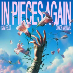 Мұқаба Sam Feldt & Conor Maynard - In Pieces Again