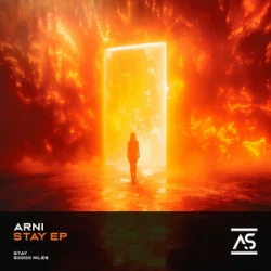 Мұқаба Divinsity - Ashes to Anthem (Hardstyle)