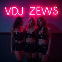 Мұқаба VDJ ZEWS - Random Feelings