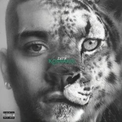 Мұқаба ZAYN - Die For Me