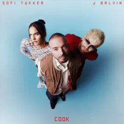 Мұқаба SOFI TUKKER & J Balvin - COOK