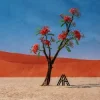 Мұқаба Axel Thesleff - Ashoka Axel Thesleff - Ashoka