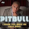 Мұқаба Pitbull - I Know You Want Me Pitbull - I Know You Want Me