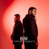 Мұқаба BW & FORTROYALBEATZ - Тень BW & FORTROYALBEATZ - Тень