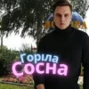 Мұқаба Friends in Kharkiv - Горіла сосна Friends in Kharkiv - Горіла сосна