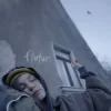 EMAA - Fluturi