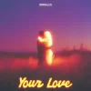 Мұқаба SMALLS - Your Love SMALLS - Your Love