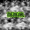 Мұқаба En:vy - Medieval En:vy - Medieval