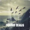 Мұқаба 2 Phaze - Young Birds 2 Phaze - Young Birds