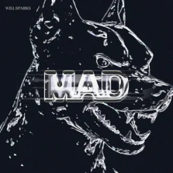Мұқаба Will Sparks - Mad