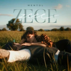 Мұқаба Mentol - Zece