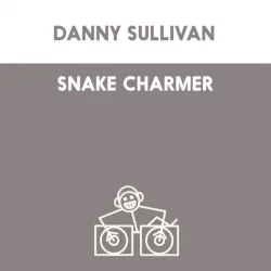 Мұқаба Danny Sullivan - Shake Charmer