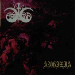 Мұқаба Angizia - Der Stechlin