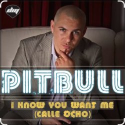 Мұқаба Pitbull - I Know You Want Me