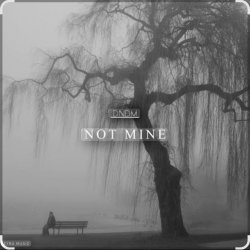 Мұқаба DNDM - Not Mine (Extended)