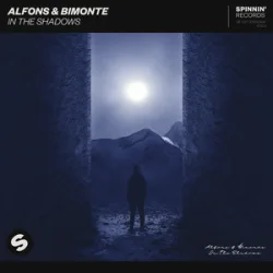 Мұқаба Alfons & BIMONTE - In the shadows