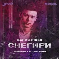 Мұқаба Денис RiDer - Снегири