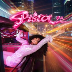 Мұқаба NK - Pista