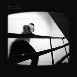 Мұқаба Electrobirds - Вітер, неси