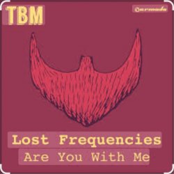 Мұқаба Lost Frequencies - Are You With Me