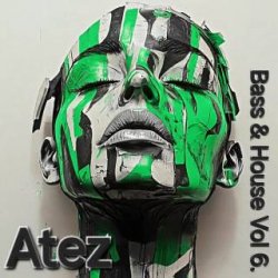 Мұқаба Atez - Bass House Vol6.