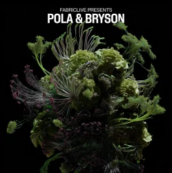 Мұқаба Pola & Bryson - Insomnia (Mixed)