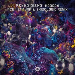 Мұқаба Psyko Disko - Nobody (Ace Ventura & Skizologic Remix)