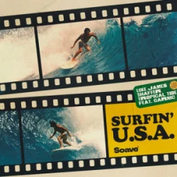 Мұқаба Luke James Shaffer & Tropical Tide & Garnic - Surfin' U.S.A