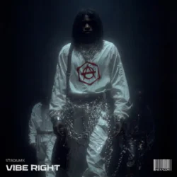 Мұқаба Stadiumx - Vibe Right