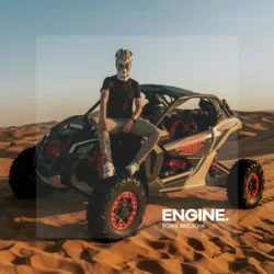 Мұқаба Boris Brejcha - Engine
