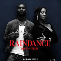 Мұқаба Dave & Tems - Raindance (Dj Dark Remix)