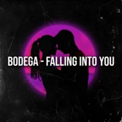 Мұқаба Bodega - Falling Into You