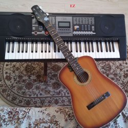Мұқаба EiZ - Shake lone Guitarist