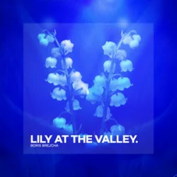 Мұқаба Boris Brejcha - Lily At The Valley