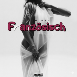 Мұқаба e_x_c_e_20 - Französisch