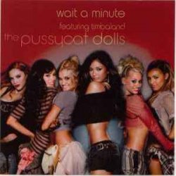 Мұқаба Pussycat Dolls ft. Timbaland - Wait a Minute