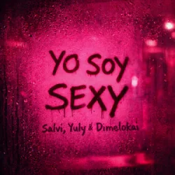 Мұқаба Salvi & Yuly & Dimelokai - Yo Soy Sexy
