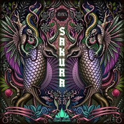 Мұқаба Cosmic Brahma - Samurai Jack