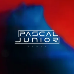 Мұқаба Pascal Junior & Papa Jr. - Ploaia (Remix)