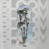 Мұқаба Samath & Data Model - Bottom Feeder Samath & Data Model - Bottom Feeder