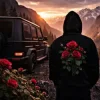 Мұқаба ZVUCAR - Дика Троянда ZVUCAR - Дика Троянда