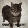 Мұқаба DJ Cheaz - Effector DJ Cheaz - Effector