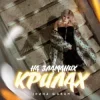 Мұқаба Ірина Шабан - На зламаних крилах Ірина Шабан - На зламаних крилах