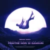 Мұқаба Raoul Russu & Alina Jais - Printre nori si ganduri (Jayraa Remix) Raoul Russu & Alina Jais - Printre nori si ganduri (Jayraa Remix)