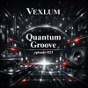 Мұқаба Vexlum - Quantum Groove 023 Vexlum - Quantum Groove 023